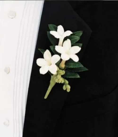 Stephanotis Buttonhole